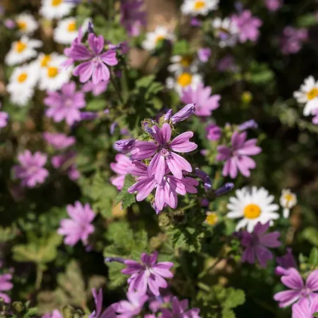 아파트 The Gardens By Daniel&jacob's *