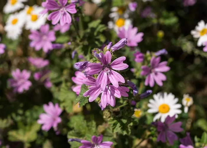 Apartamento The Gardens By Daniel&jacob's *